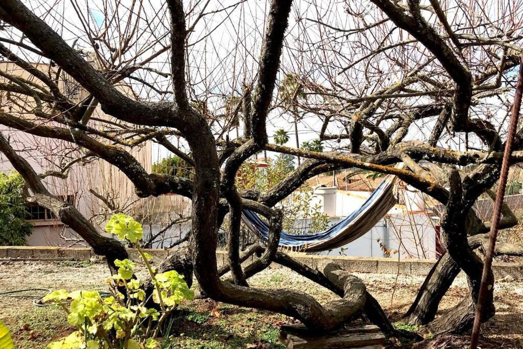 Casa Tia Ines Villa Vilaflor Dış mekan fotoğraf