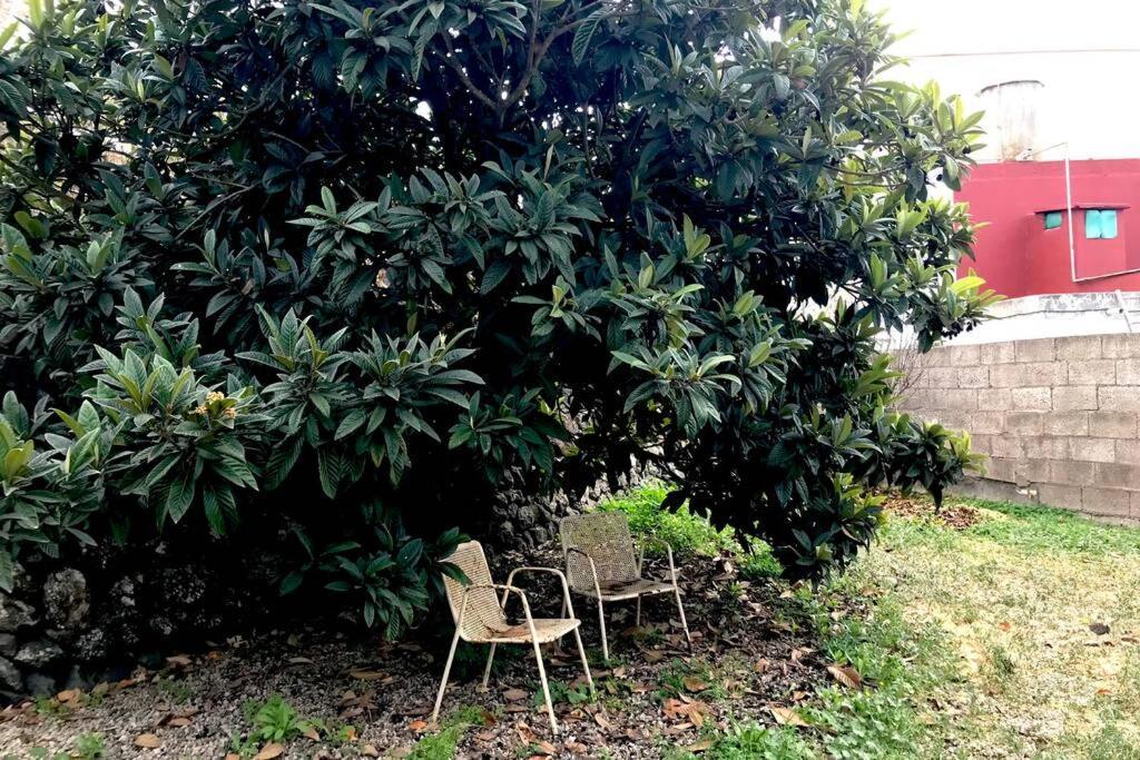 Casa Tia Ines Villa Vilaflor Dış mekan fotoğraf